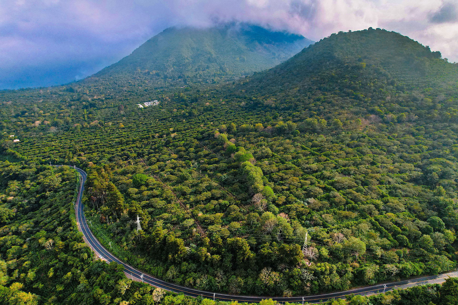 Ruta de las Flores